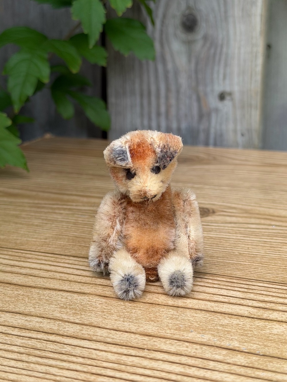 Vintage Antique Mohair Teddy Bear Jointed Posable Limbs Schuco?